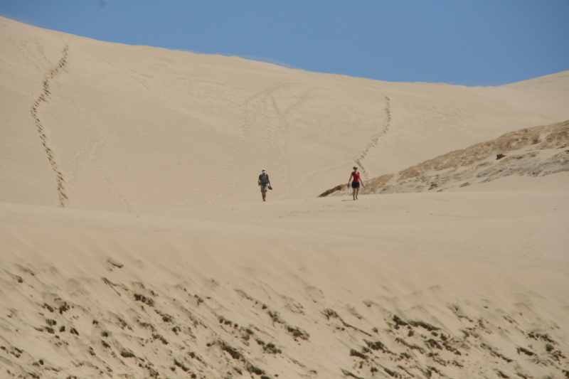 Nieuw-Zeeland 2011 - 0373